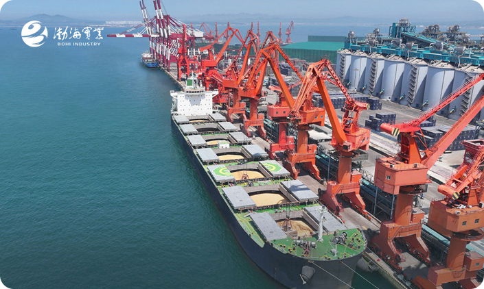 山東渤海實業(yè)集團